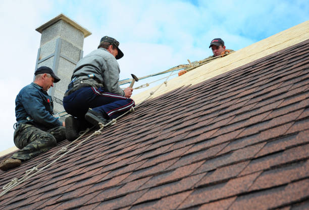 Best Roof Gutter Cleaning  in Wesleyville, PA